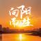 向阳而生