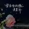 雪亲吻玫瑰是意外