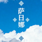萨日娜