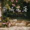 南城花落（Cover 王琪）