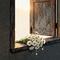 幸福轻敲门