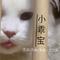 小乖宝