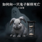 死亡并不是终点