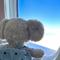 嘟嘟嘟嘟