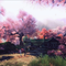 桃花岛