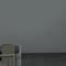 鹰
