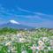 诗词歌赋