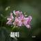 妈妈的羊皮袄（Cover 亚东）