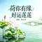 荷你有缘好运莲莲