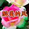 美丽星光