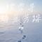 踏雪寻梅觅芳踪
