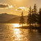 反向旷野