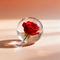 给老婆的保证书（卡点版）