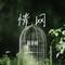 情网（Cover 李玲玉）