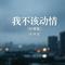 我不该动情（抒情版）