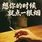 想你的时候就点一根烟