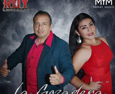 ROY EL DRAGON DE LOS TECLADOS