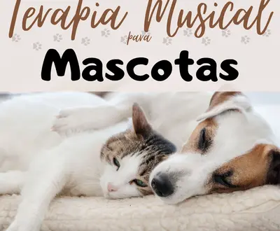 Thiago Mascotas