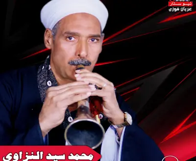 محمد سيد النزاوي