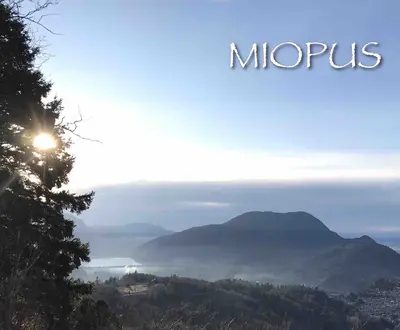 Miopus