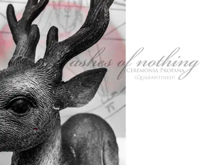 Ashes Of Nothing