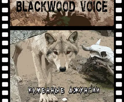 Blackwood Voice