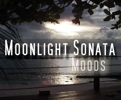 Moonlight Sonata Moods