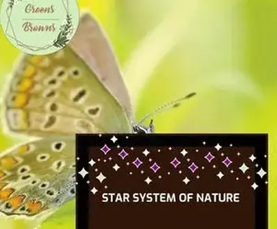 Great Healer Nature Music