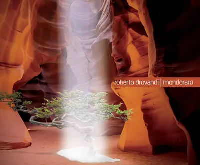 Roberto Drovandi