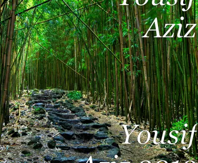 Yousif Aziz