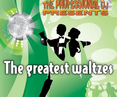 The Professional Dj