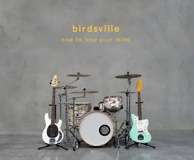 Birdsville