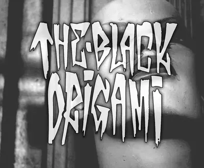 The Black Origami