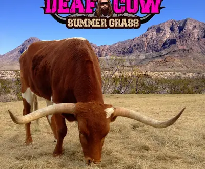 Deaf Cow