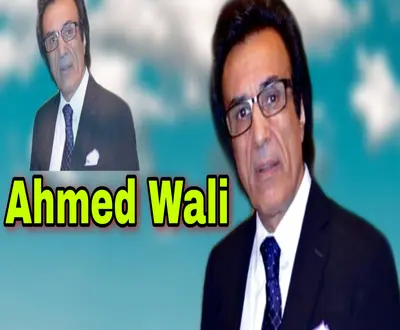 Ahmed Wali