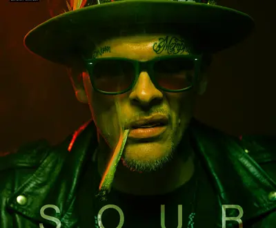 The Sober Junkie