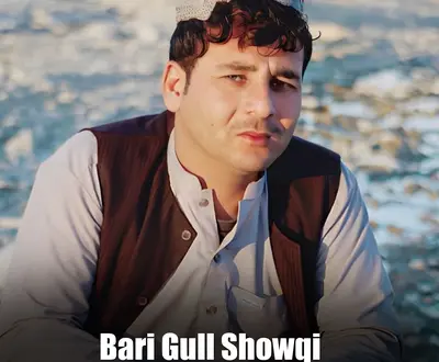 Bari Gull Showqi