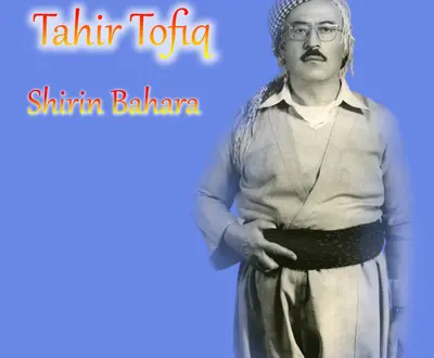 Tahîr Tofîq
