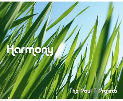 The Paul T Project