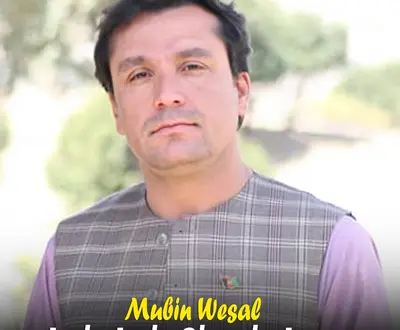 Mubin Wesal