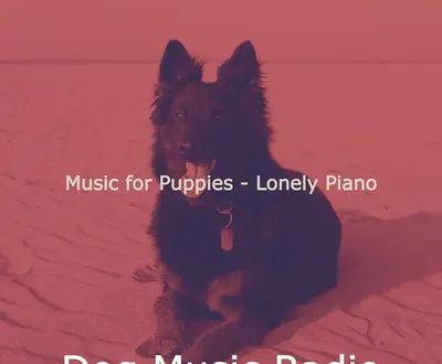 Dog Music Radio