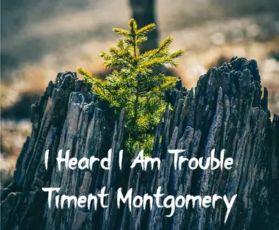Timent Montgomery