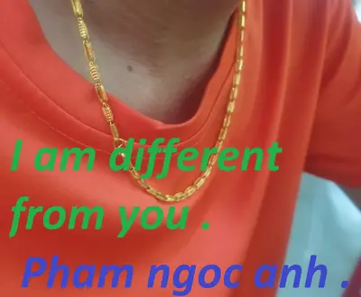 pham ngoc anh