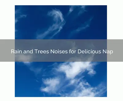Calm Sleep Rain Sound