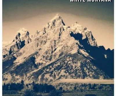 White Montana