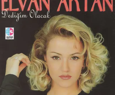 Elvan Aktan