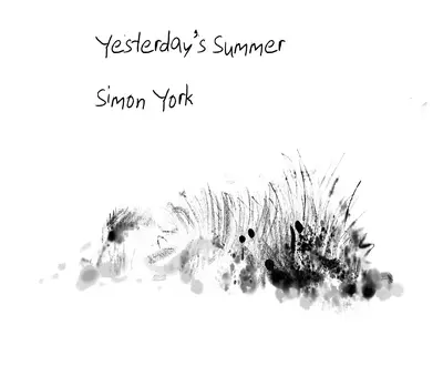 Simon York