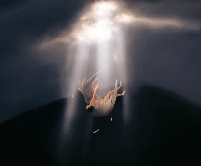 Lucifer was innocent