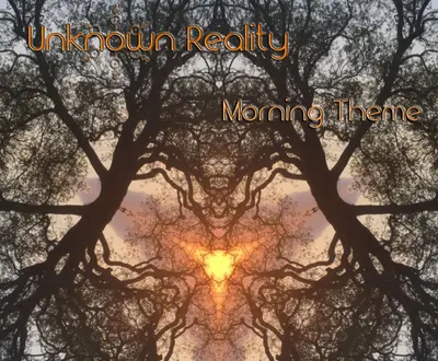 Unknown Reality