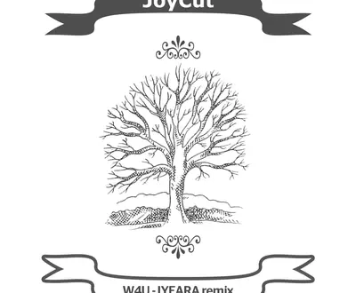 JoyCut